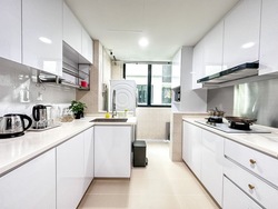 Simei Green Condominium (D18), Condominium #529122401